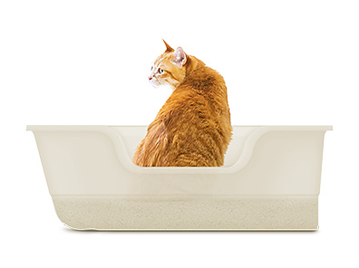 獣医師開発 ニオイをとる砂専用 猫トイレ スタートセット