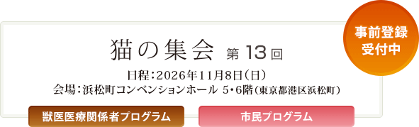 �L�̏W��@��13��